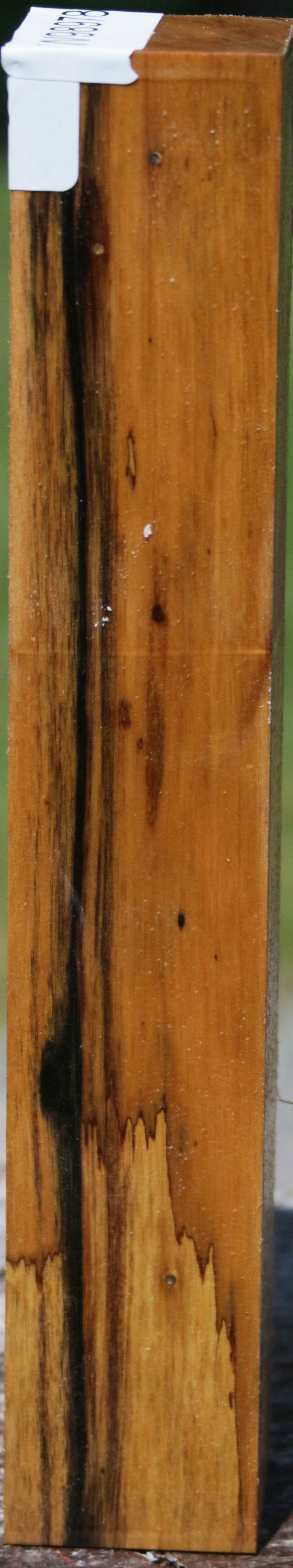 Wormy Black and White Ebony Turning Square