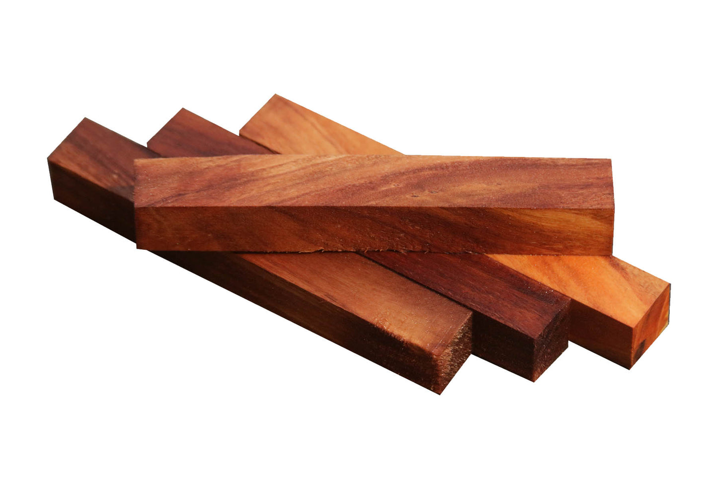 California Cottonwood (5 Pack) - 3/4"