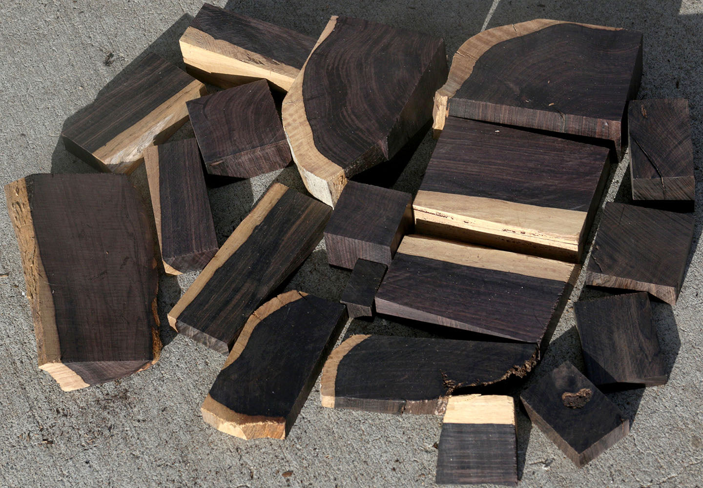 African Blackwood Cut Offs - Medium Box (MFRB)