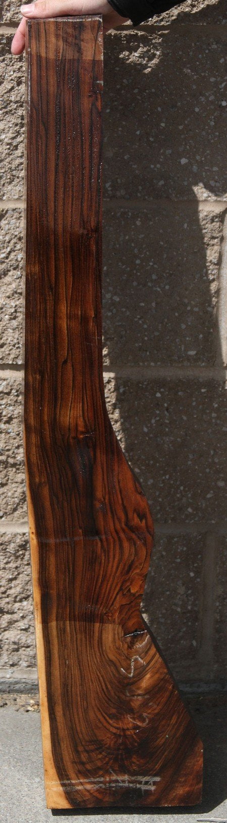 Exhibition Grade Marblecake English Walnut Feather Crotch Rifle Blank