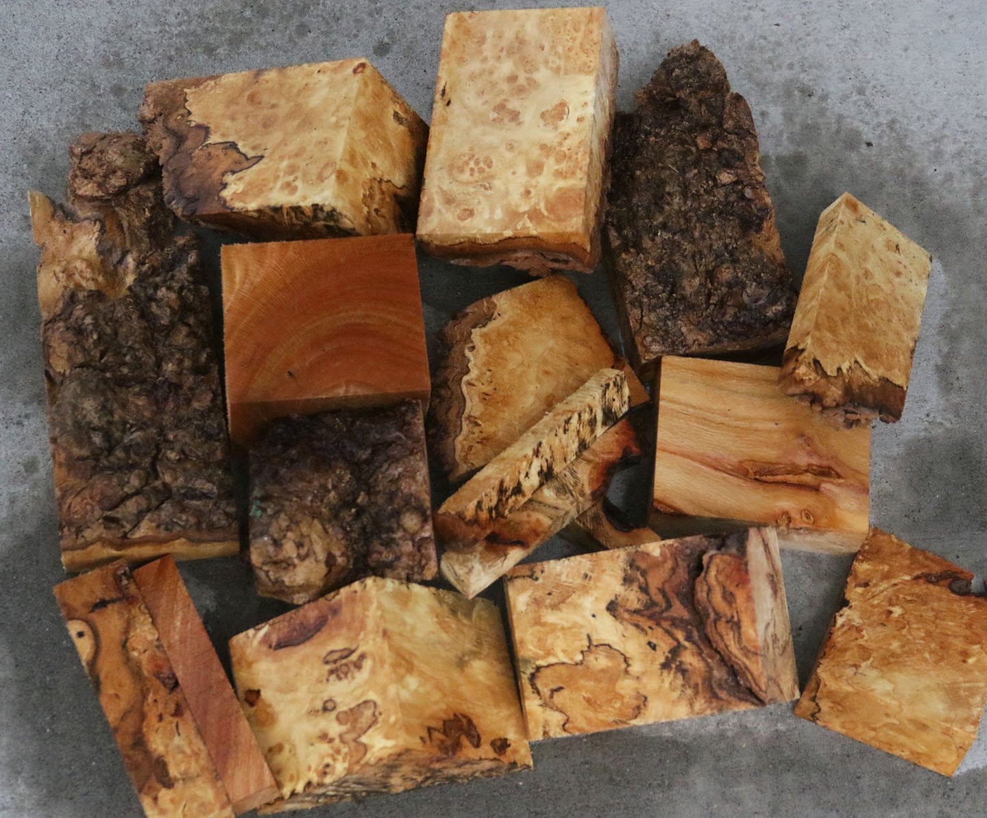 Sycamore Burl Cut Offs - Medium Box (MFRB)