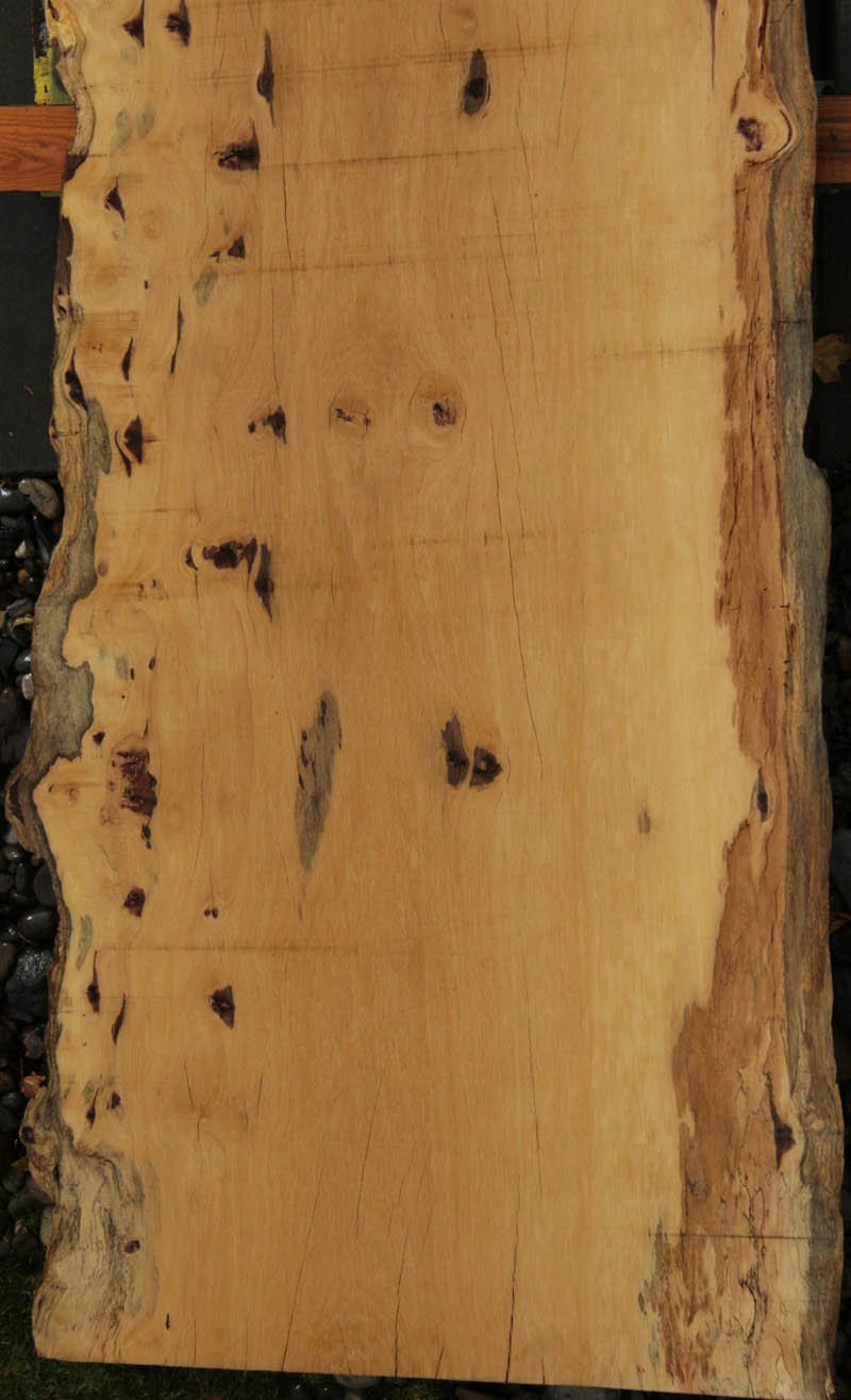 Rustic Live Edge Piquiarana Slab