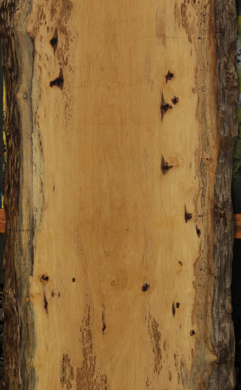 Rustic Piquiarana Live Edge Slab