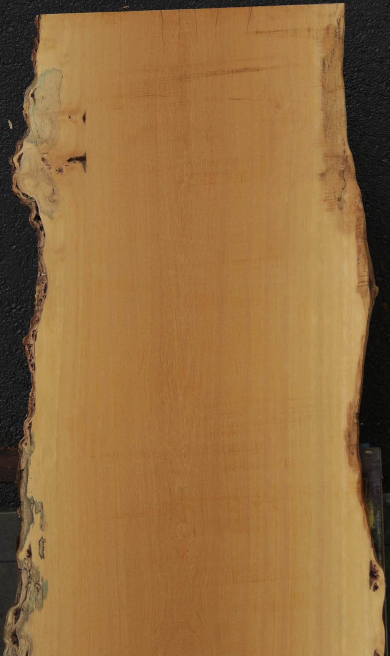 Piquiarana Spalted Live Edge Slab