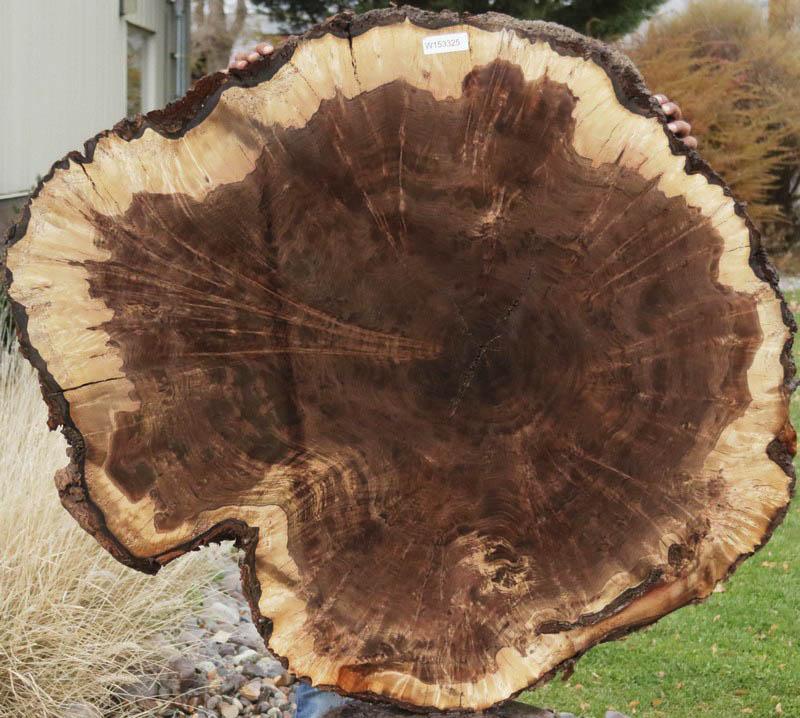 Claro Walnut Burl Cookie