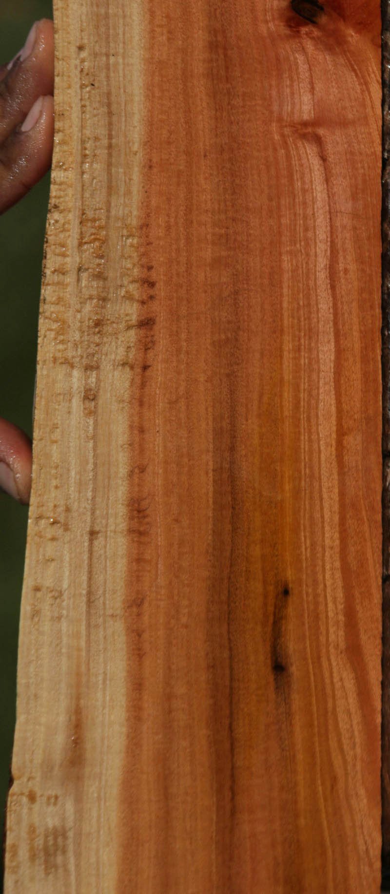 Pink Ivory Live Edge Lumber