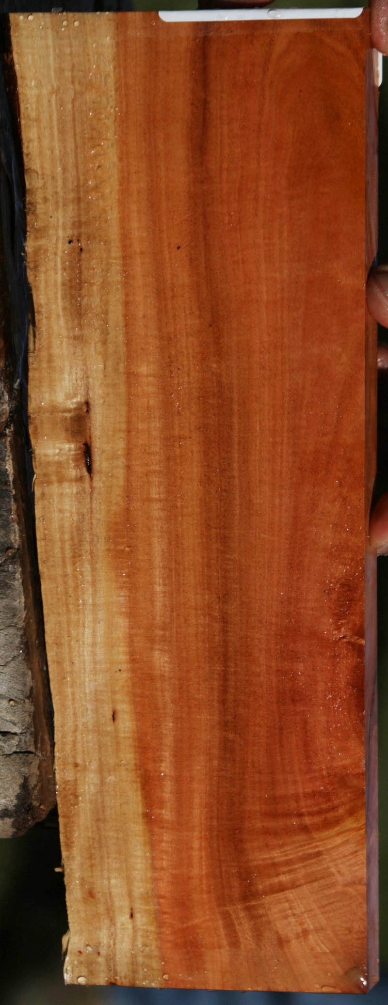 Pink Ivory Live Edge Lumber