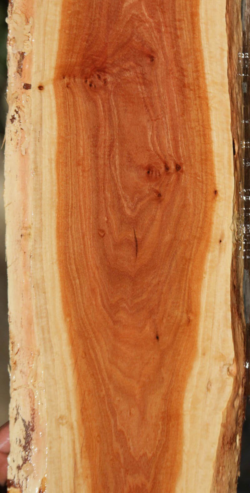 Pink Ivory Live Edge Lumber