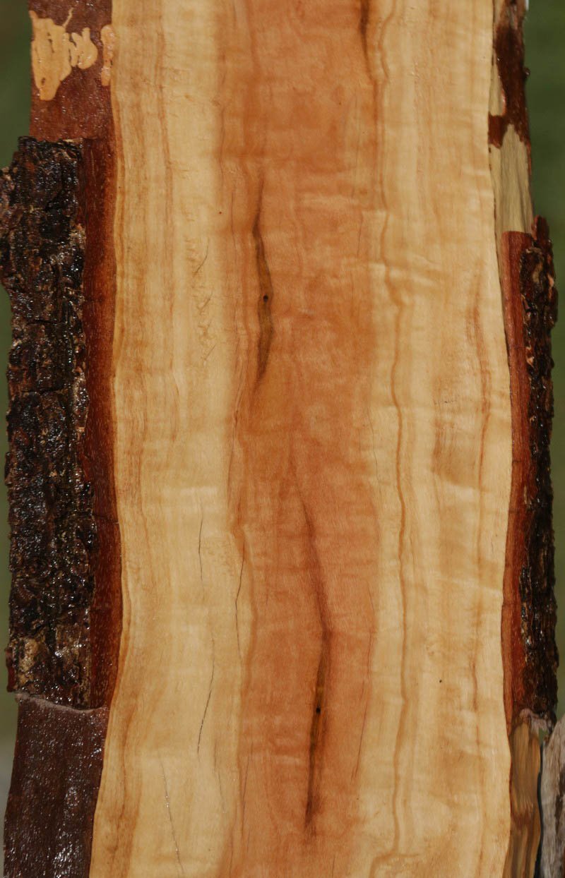 Pink Ivory Live Edge Lumber