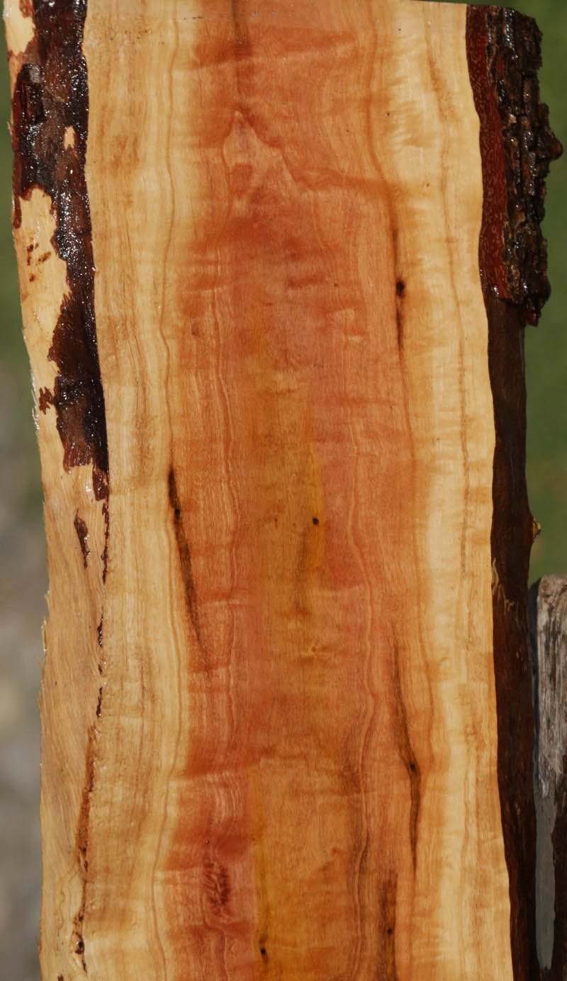 Pink Ivory Live Edge Lumber