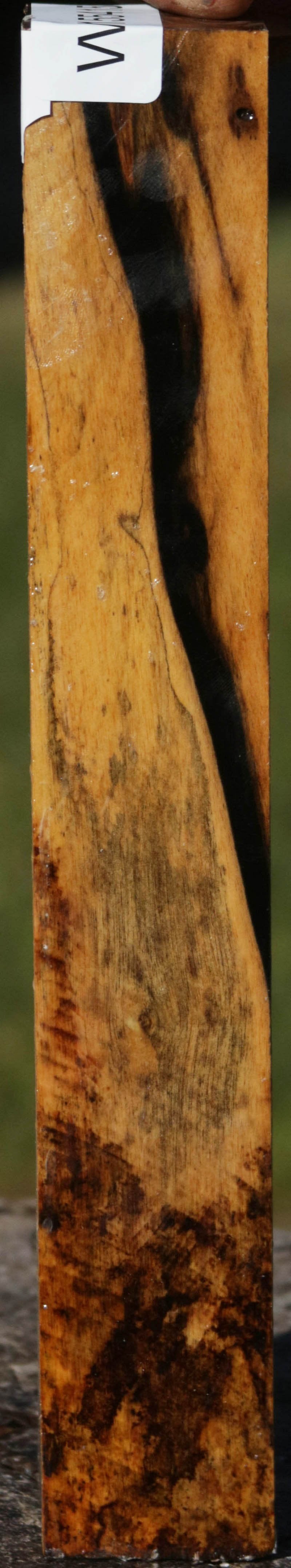 Black and White Ebony Turning Square