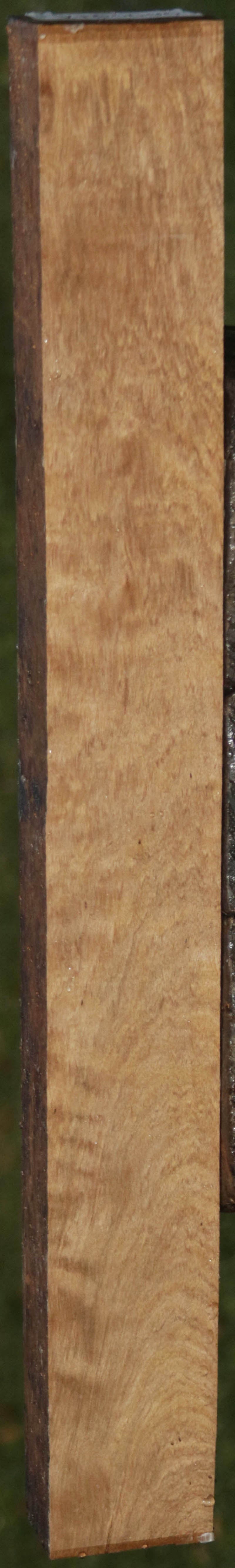 Curly Asian Satinwood Lumber