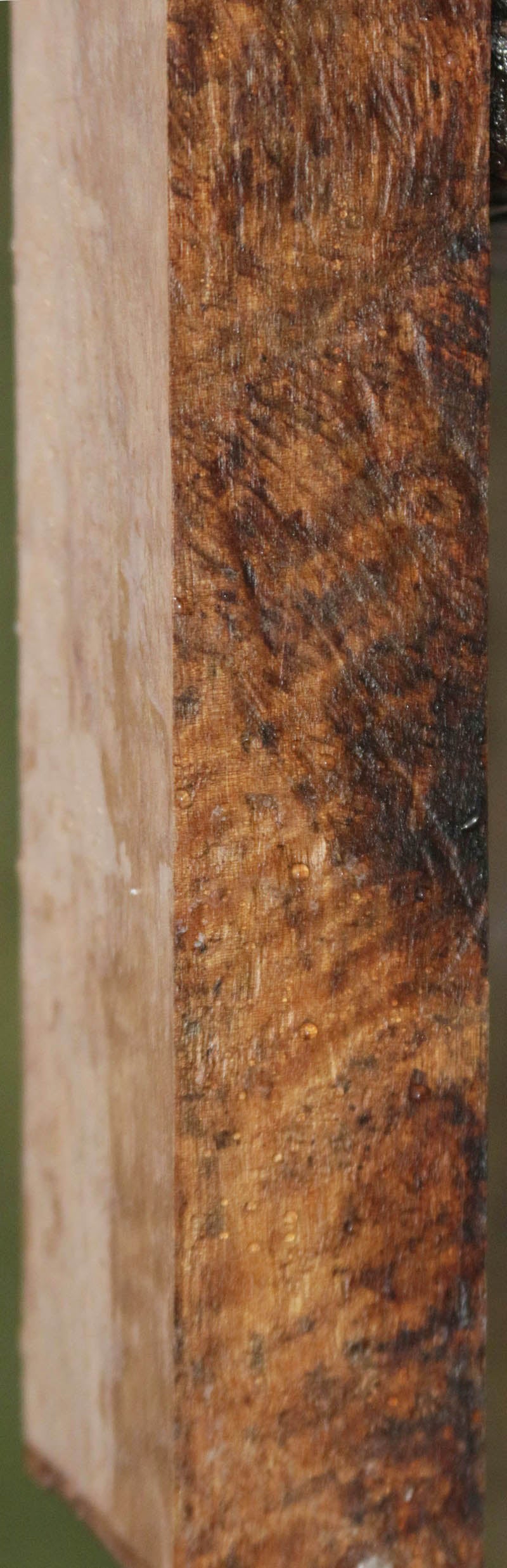 Extra Fancy Curly Asian Satinwood Lumber