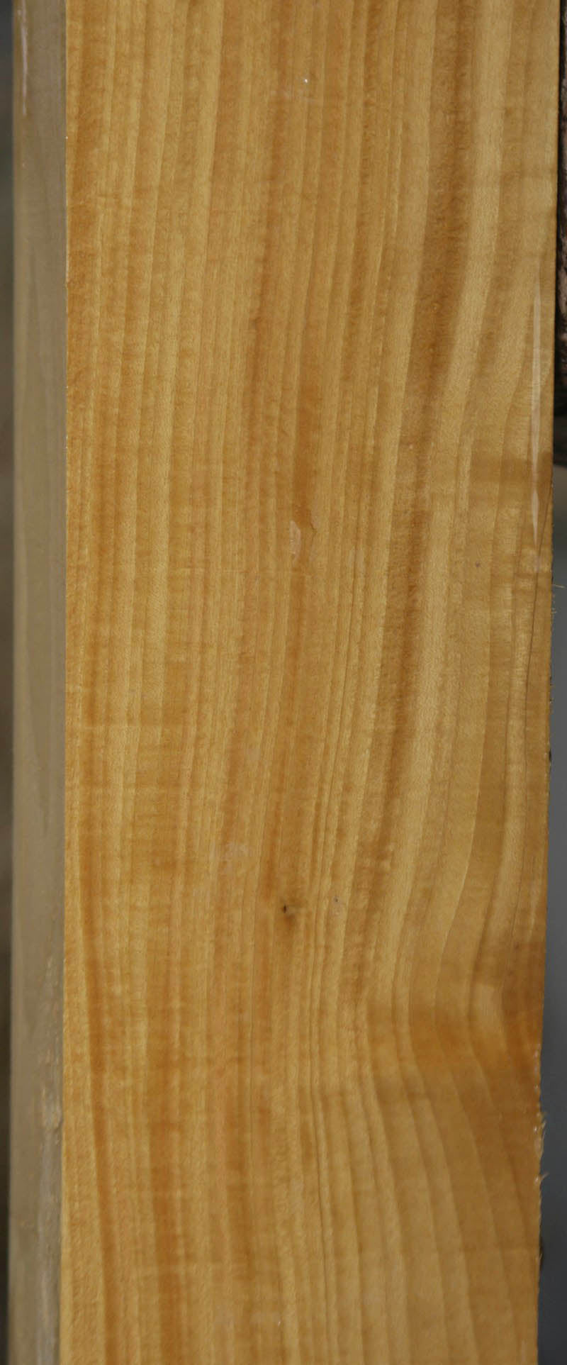 Extra Fancy Ceylon Satinwood Lumber