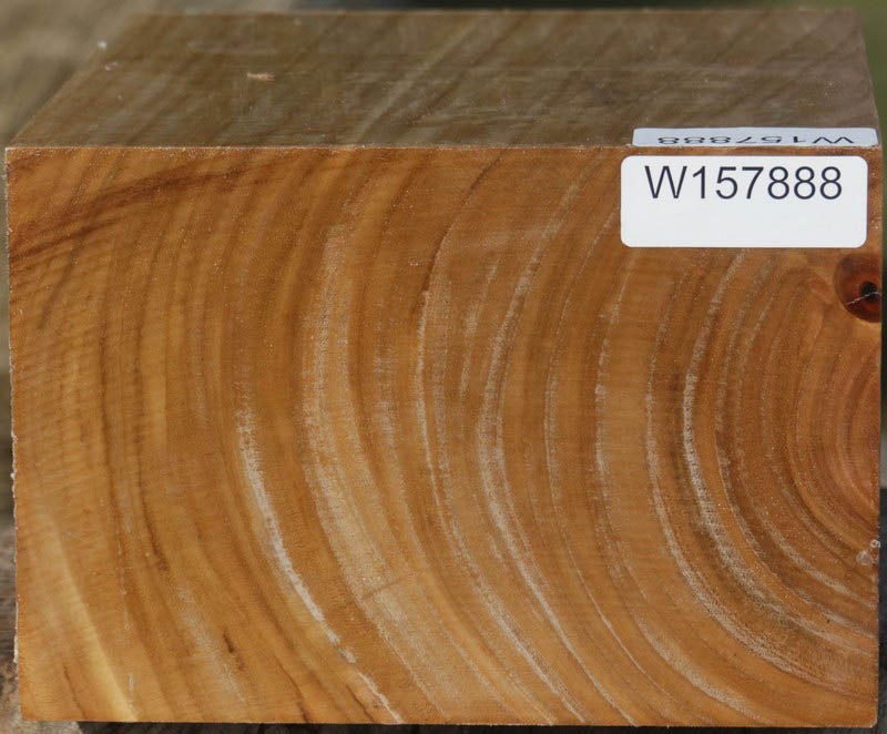 Figured Curly Australian Eucalyptus Bowl Blank