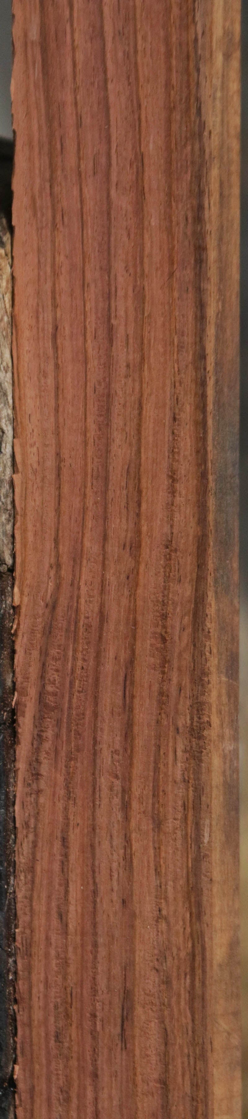 Panama Rosewood