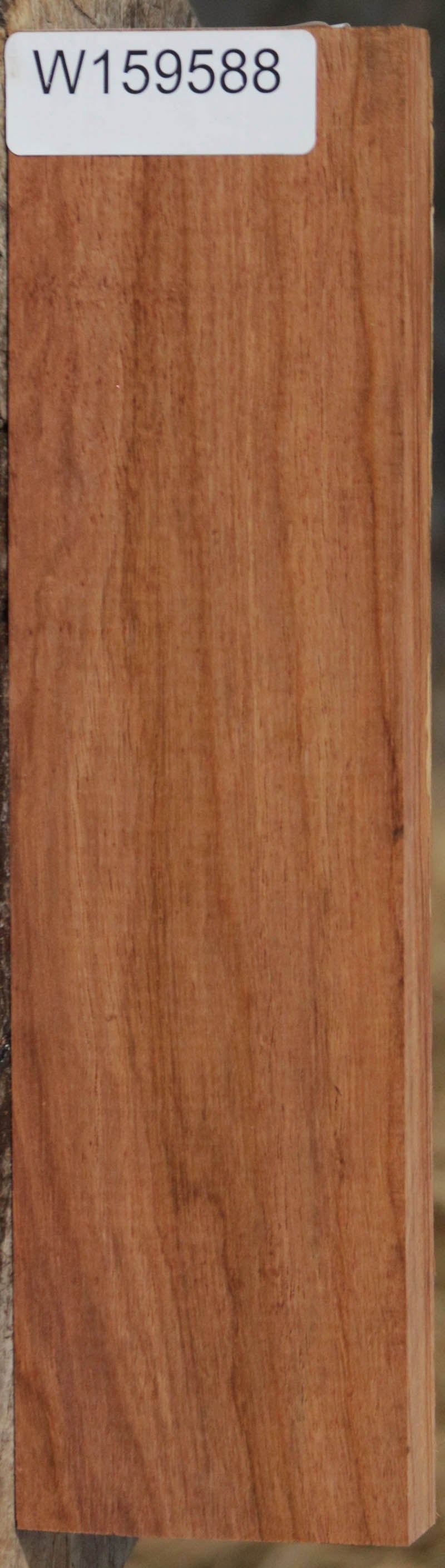Panama Rosewood