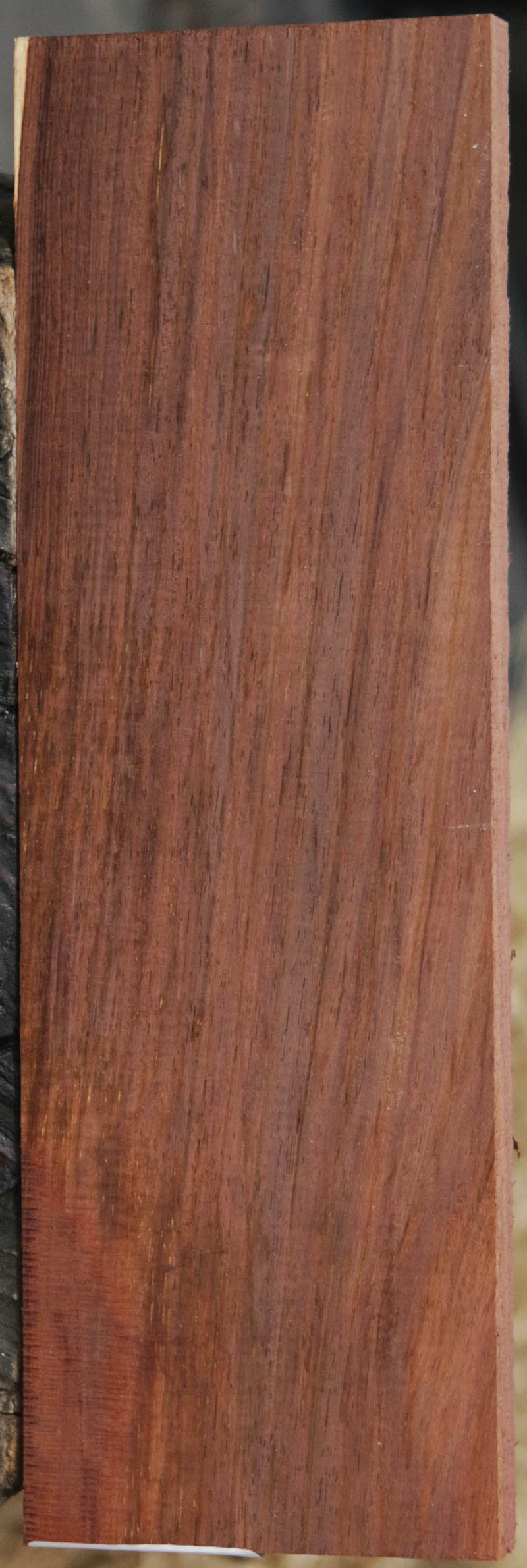Panama Rosewood