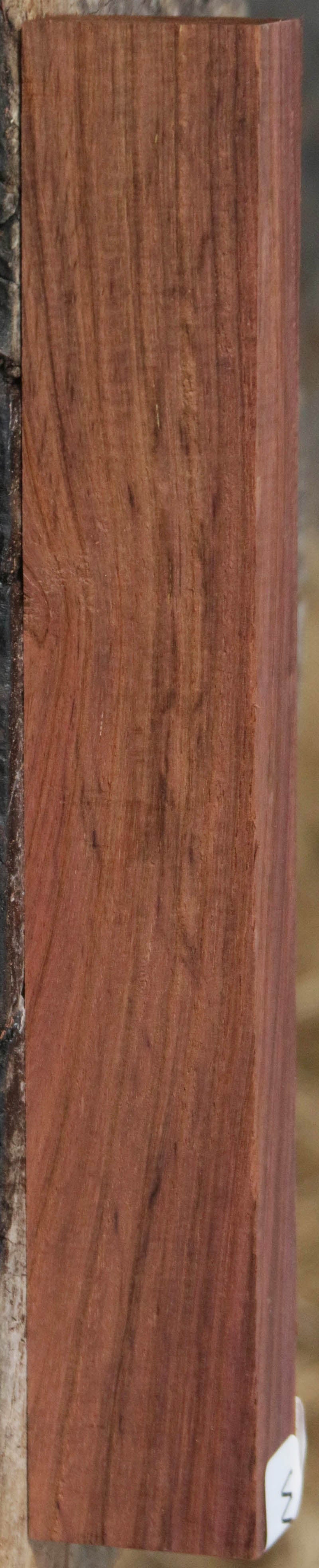 Panama Rosewood