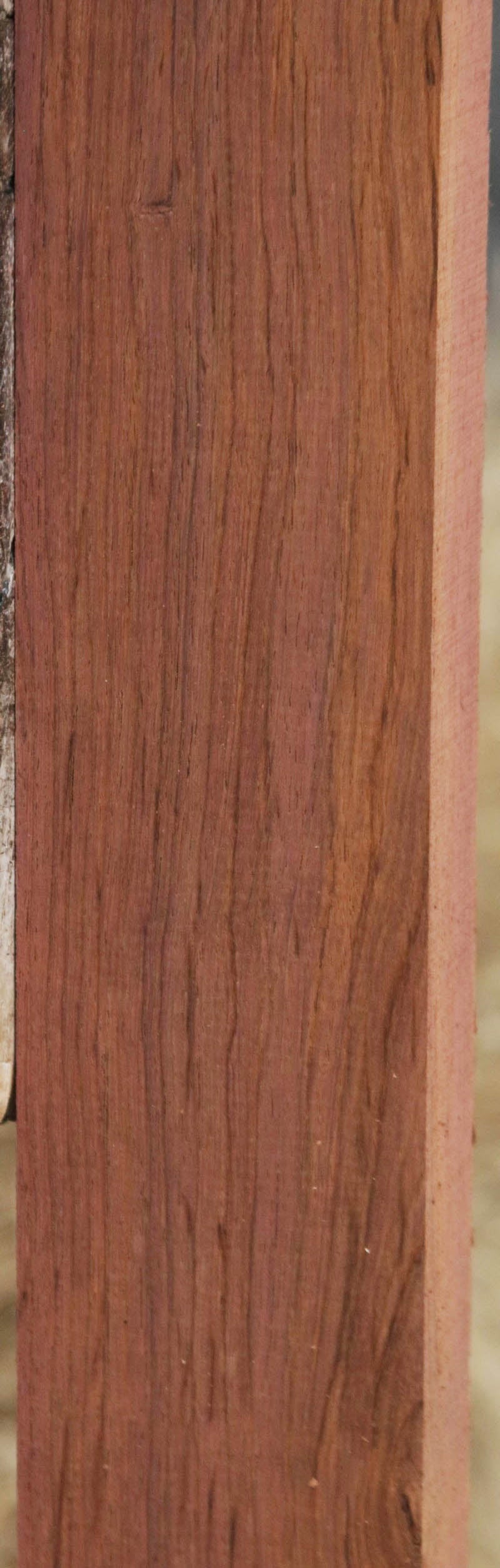 Panama Rosewood
