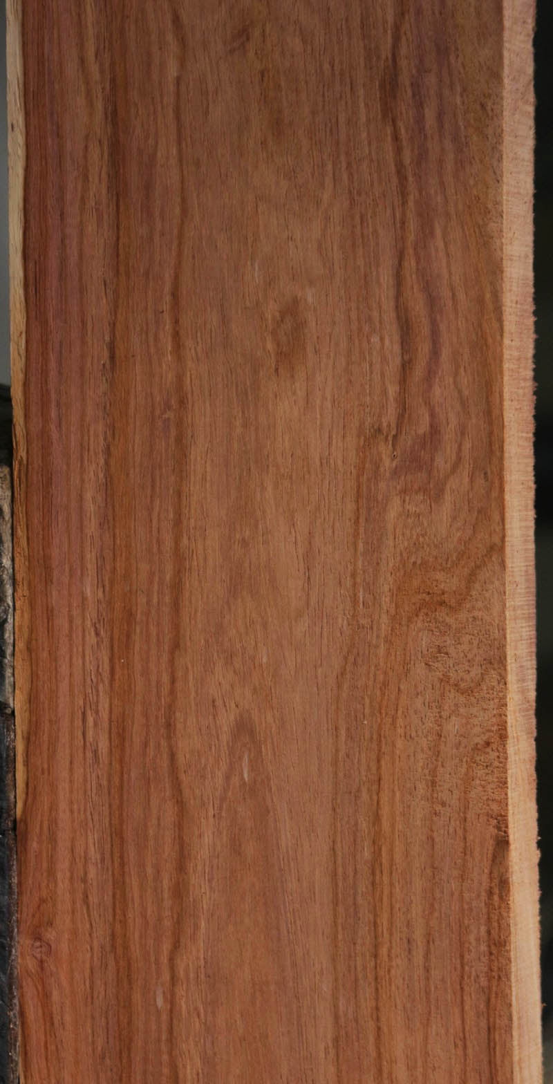 Panama Rosewood