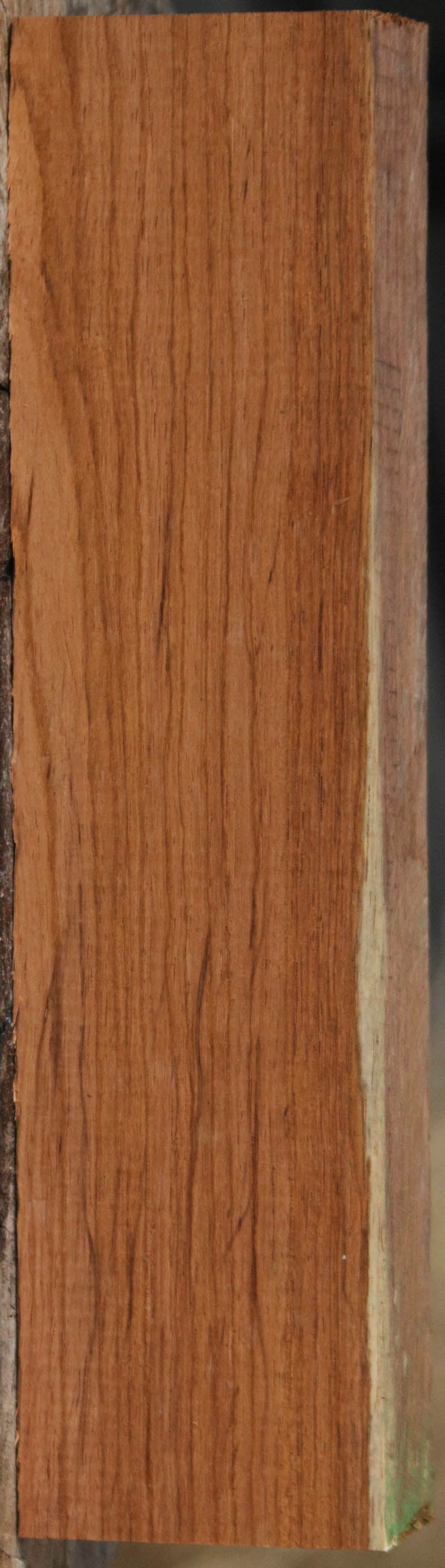 Panama Rosewood