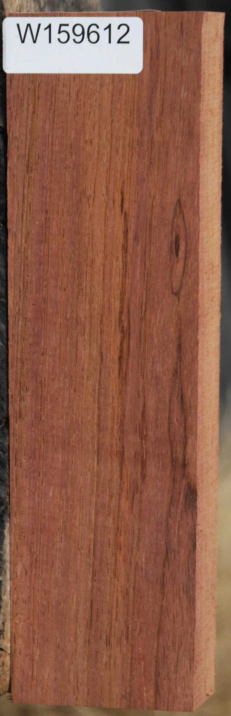 Panama Rosewood