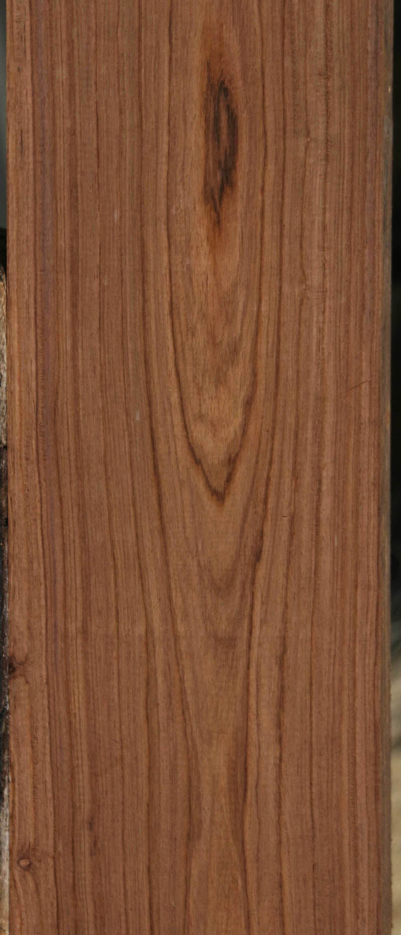 Panama Rosewood