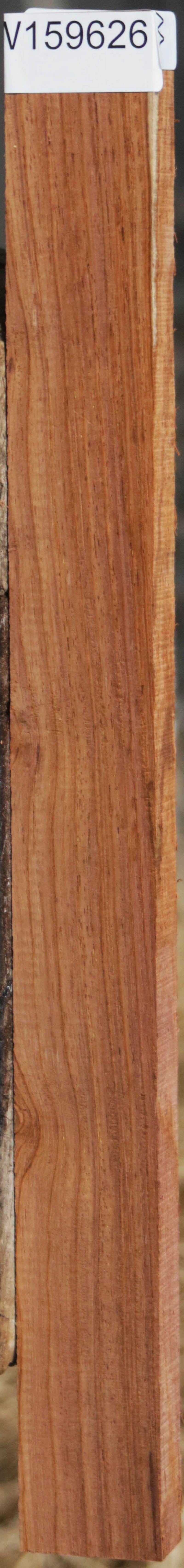 Panama Rosewood