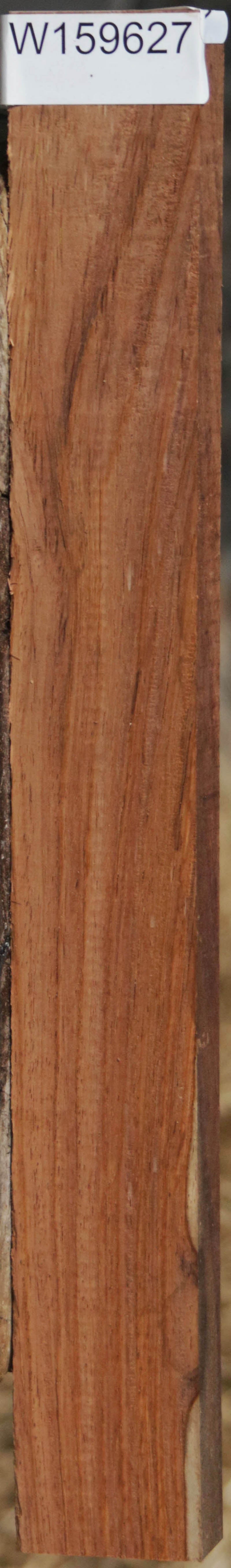 Panama Rosewood