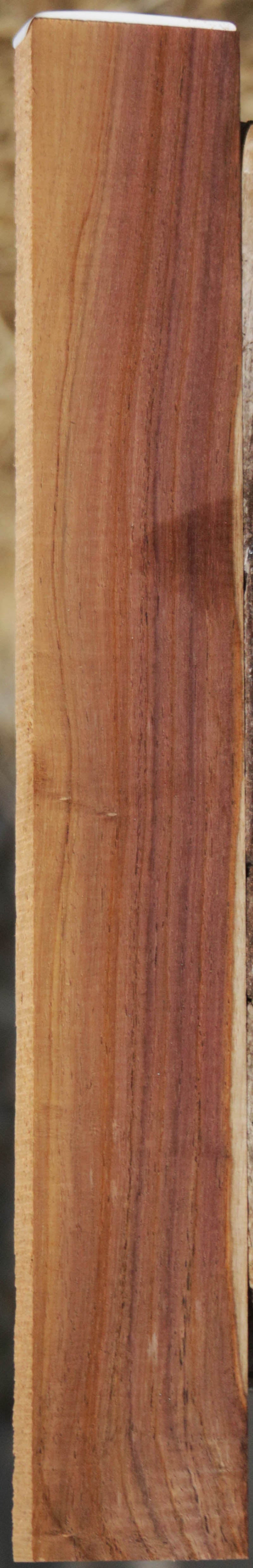 Panama Rosewood
