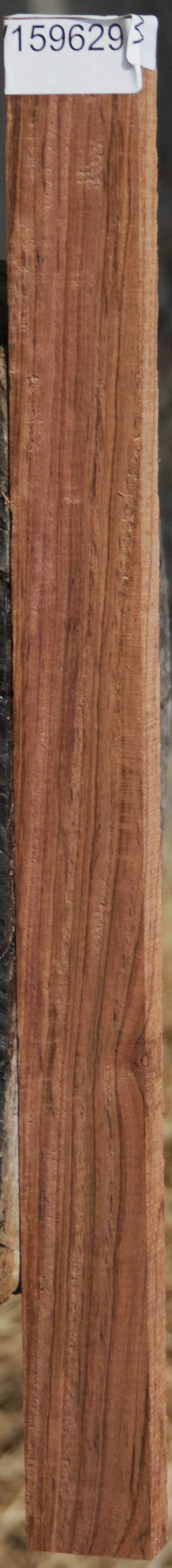 Panama Rosewood