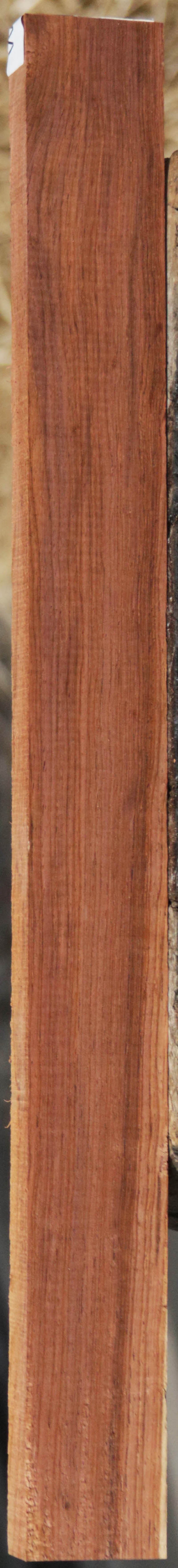 Panama Rosewood