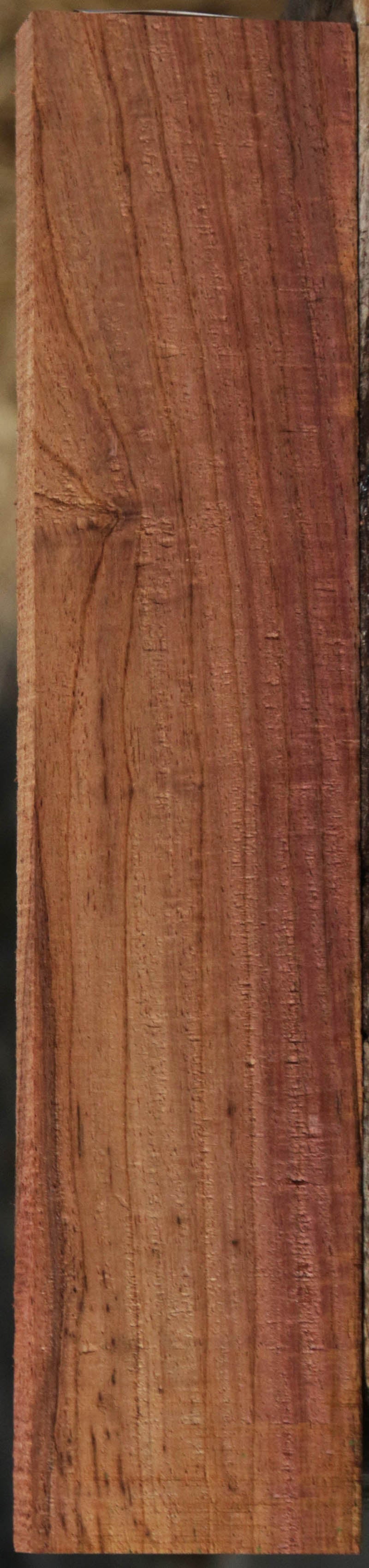 Panama Rosewood