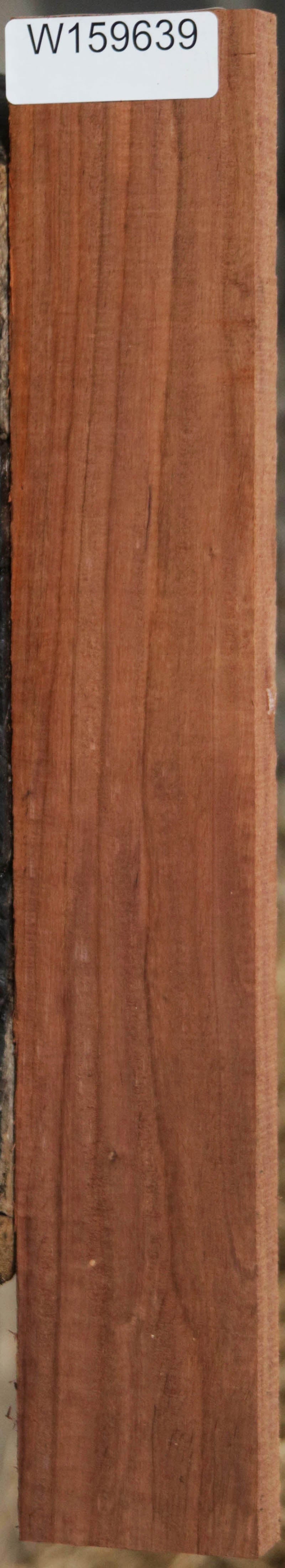 Panama Rosewood