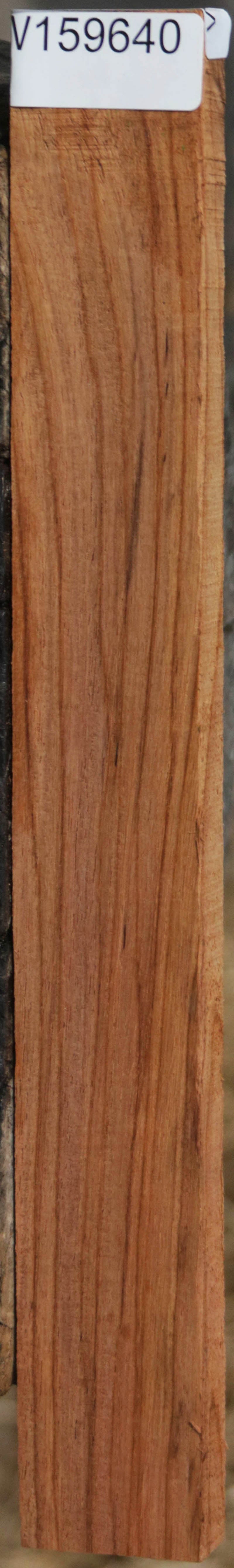 Panama Rosewood