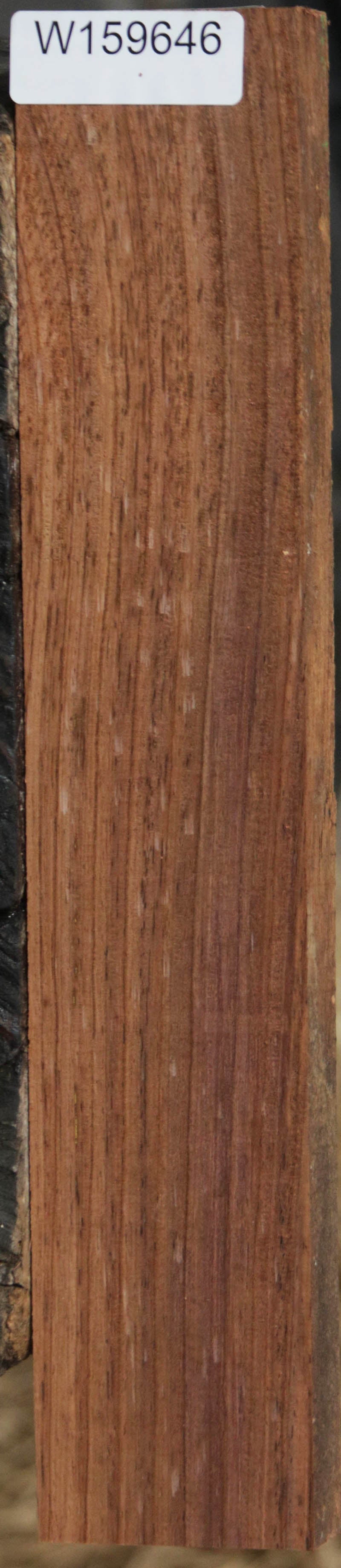 Panama Rosewood