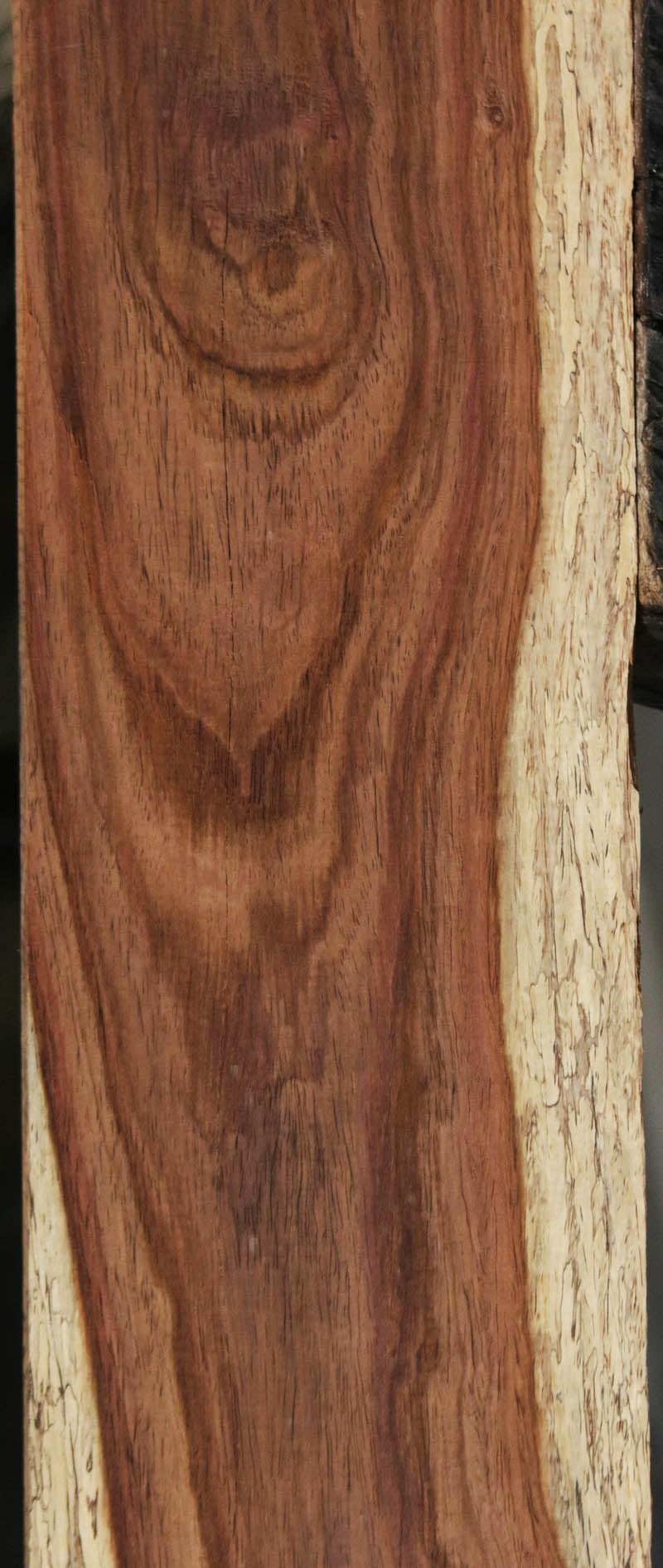 Panama Rosewood