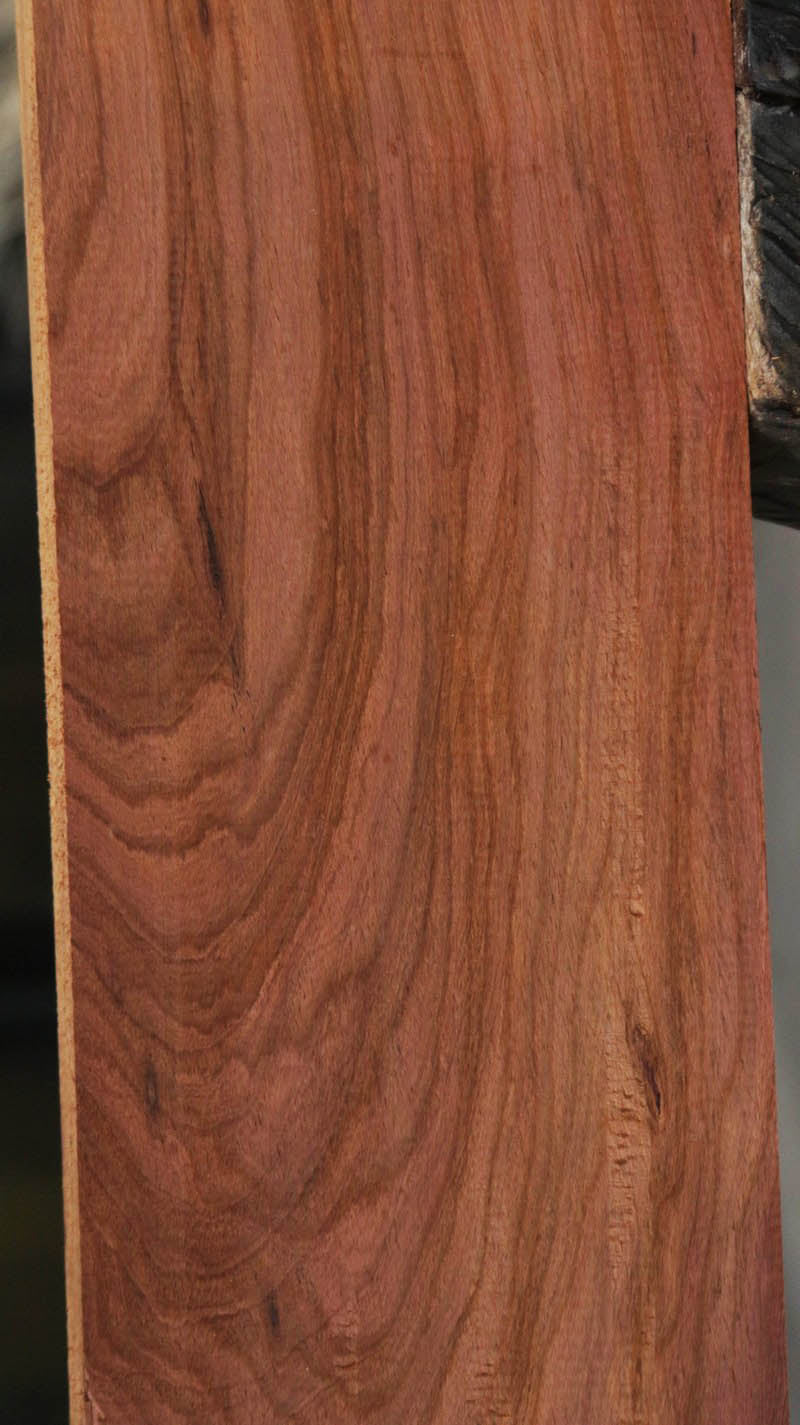 Panama Rosewood