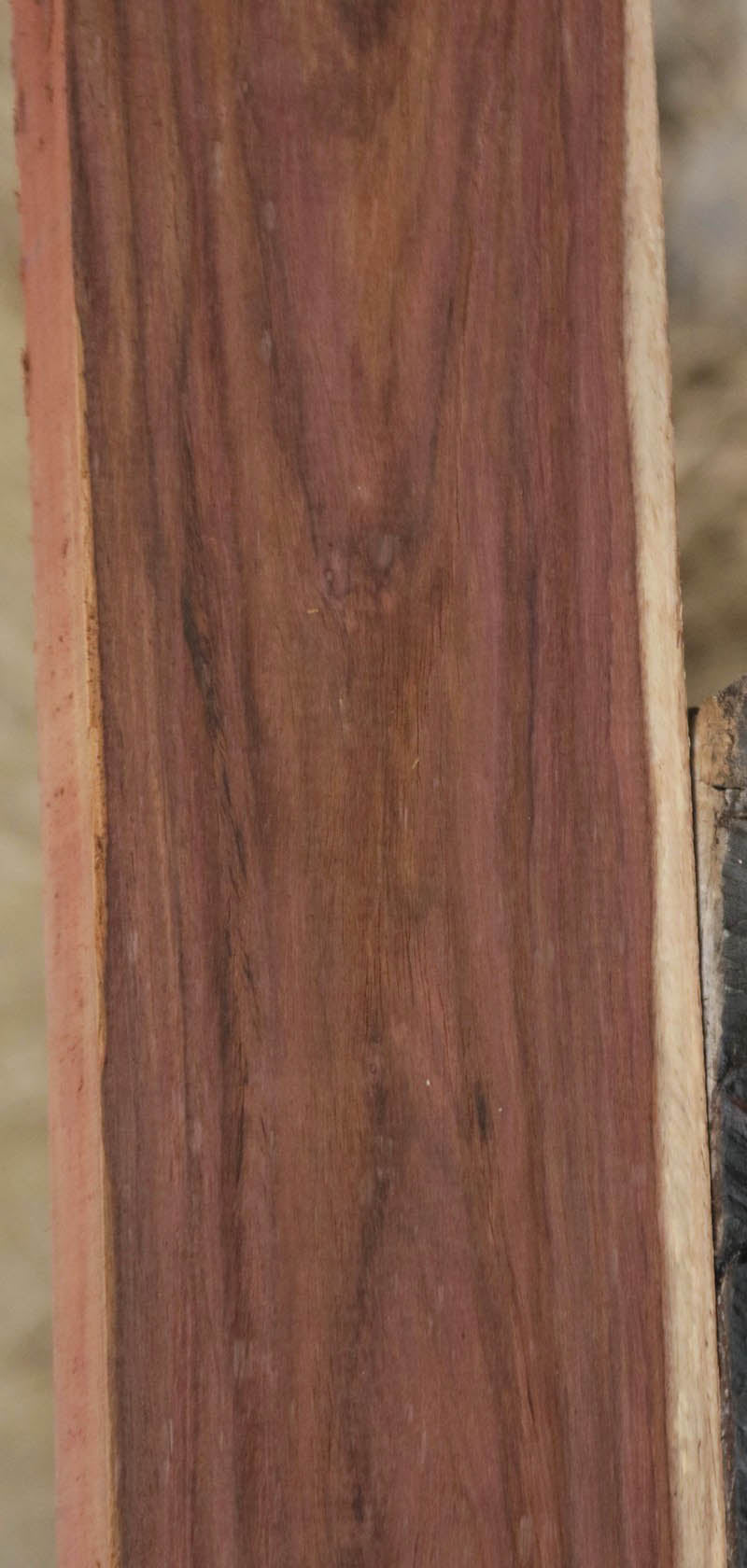 Panama Rosewood