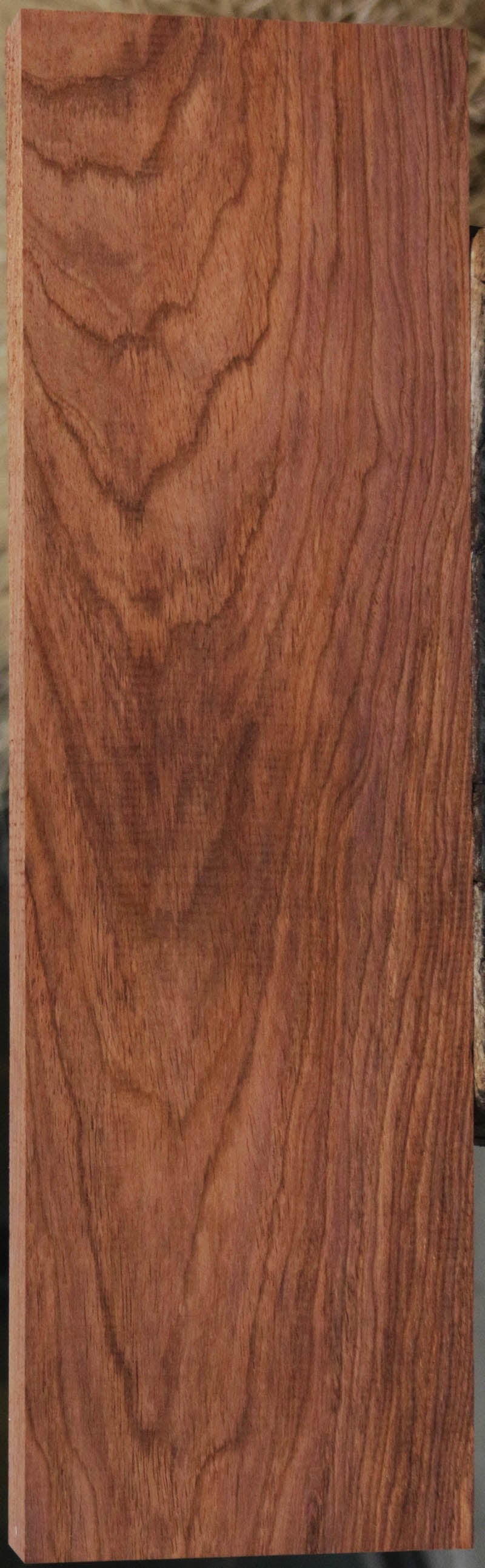 Panama Rosewood