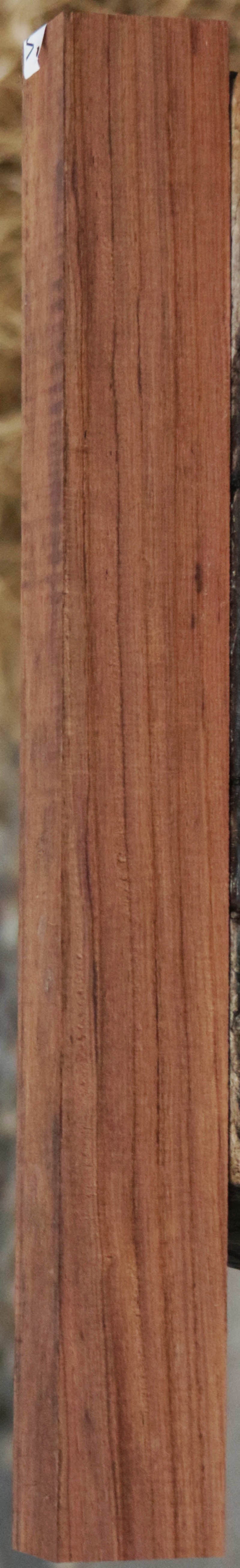 Panama Rosewood