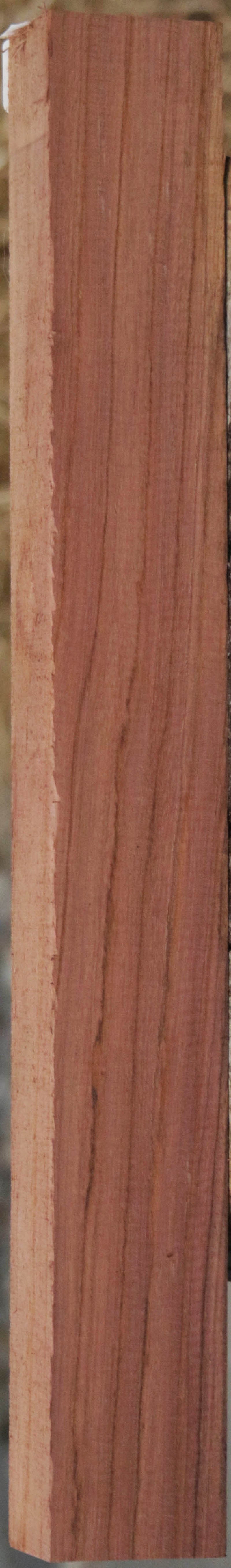 Panama Rosewood