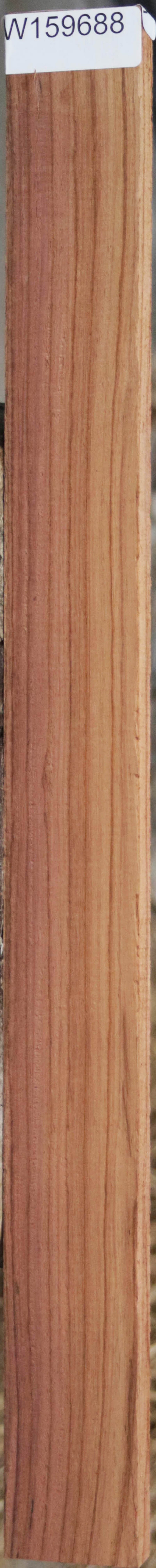 Panama Rosewood