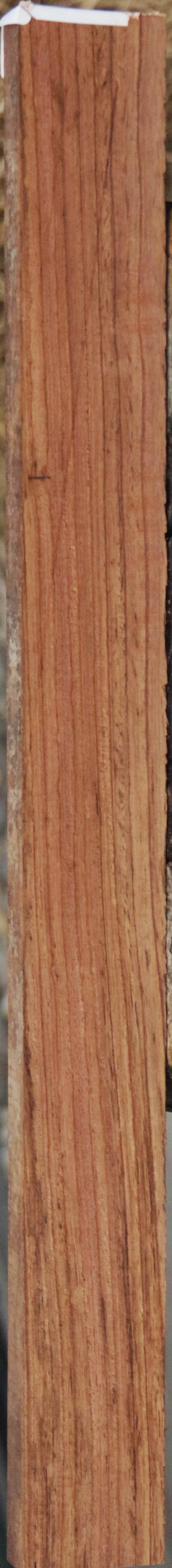 Panama Rosewood