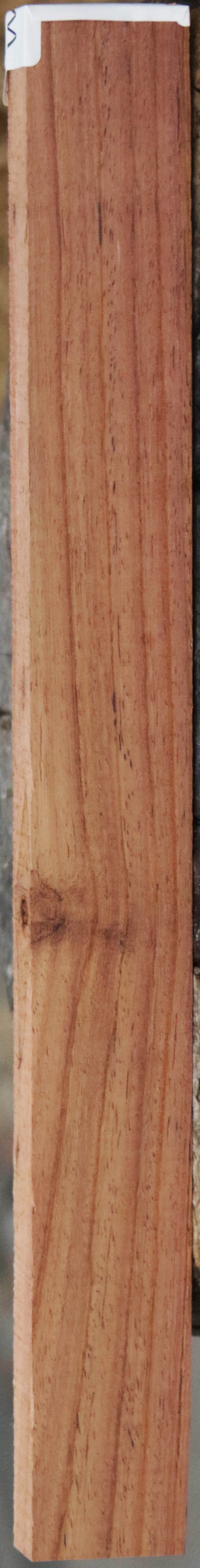 Panama Rosewood