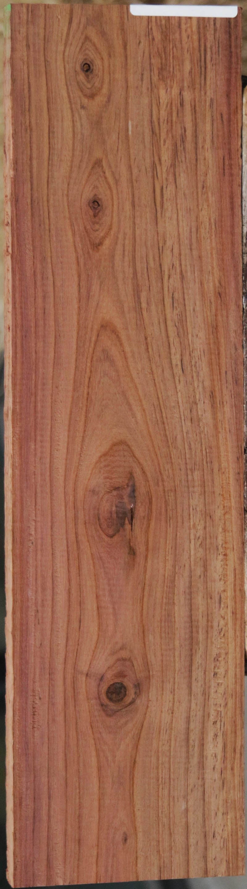 Panama Rosewood
