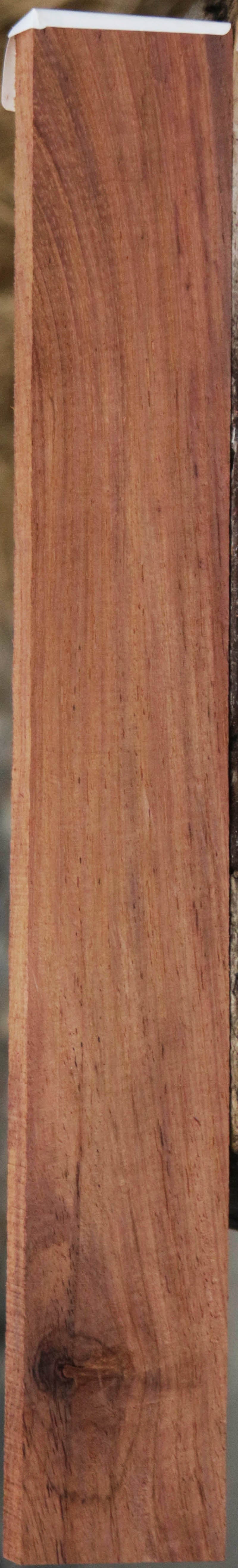 Panama Rosewood