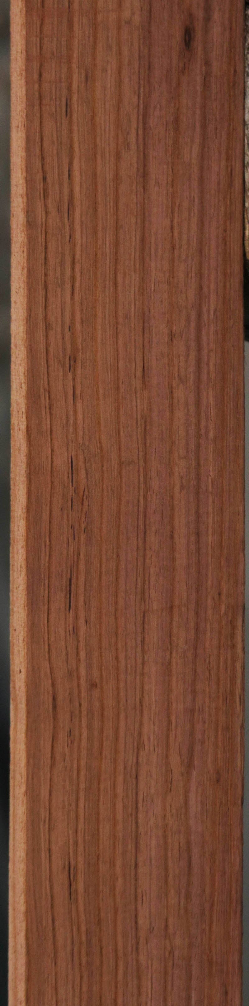 Panama Rosewood