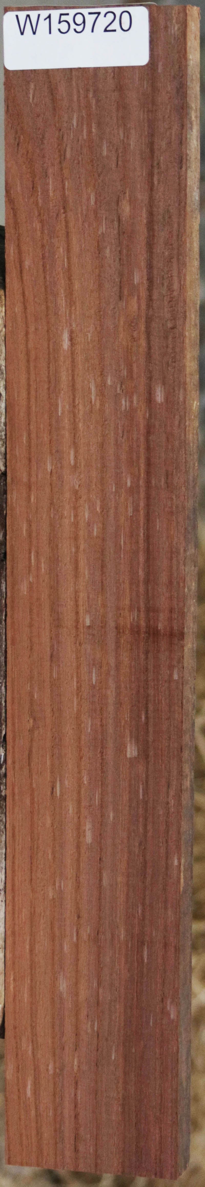 Panama Rosewood